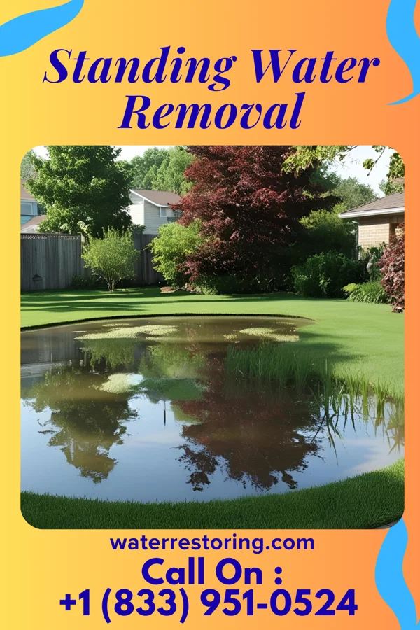 Standing Water Removal in Midland, LA